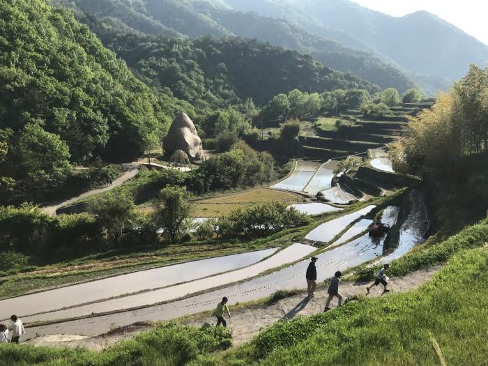 『棚田の風景』第36回フォトコンテスト委員長賞　水道組合　山口 雄一郎 氏