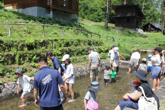 魚つかみ取り風景