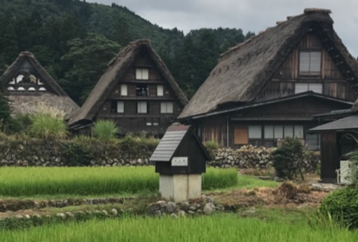 　　　　　　　　　　『穏やかな日がきますように』第36回フォトコンテスト入賞　撮影：水道組合　山田 まゆみ　氏